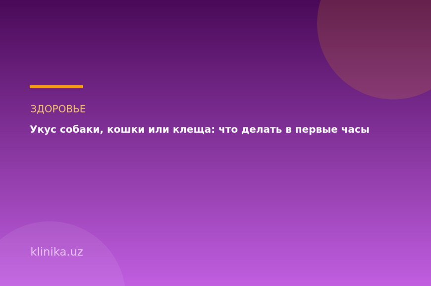 Укус собаки, кошки или клеща: что делать в первые часы
